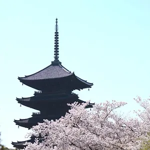 Sakura Tsubaki 3* Kioto